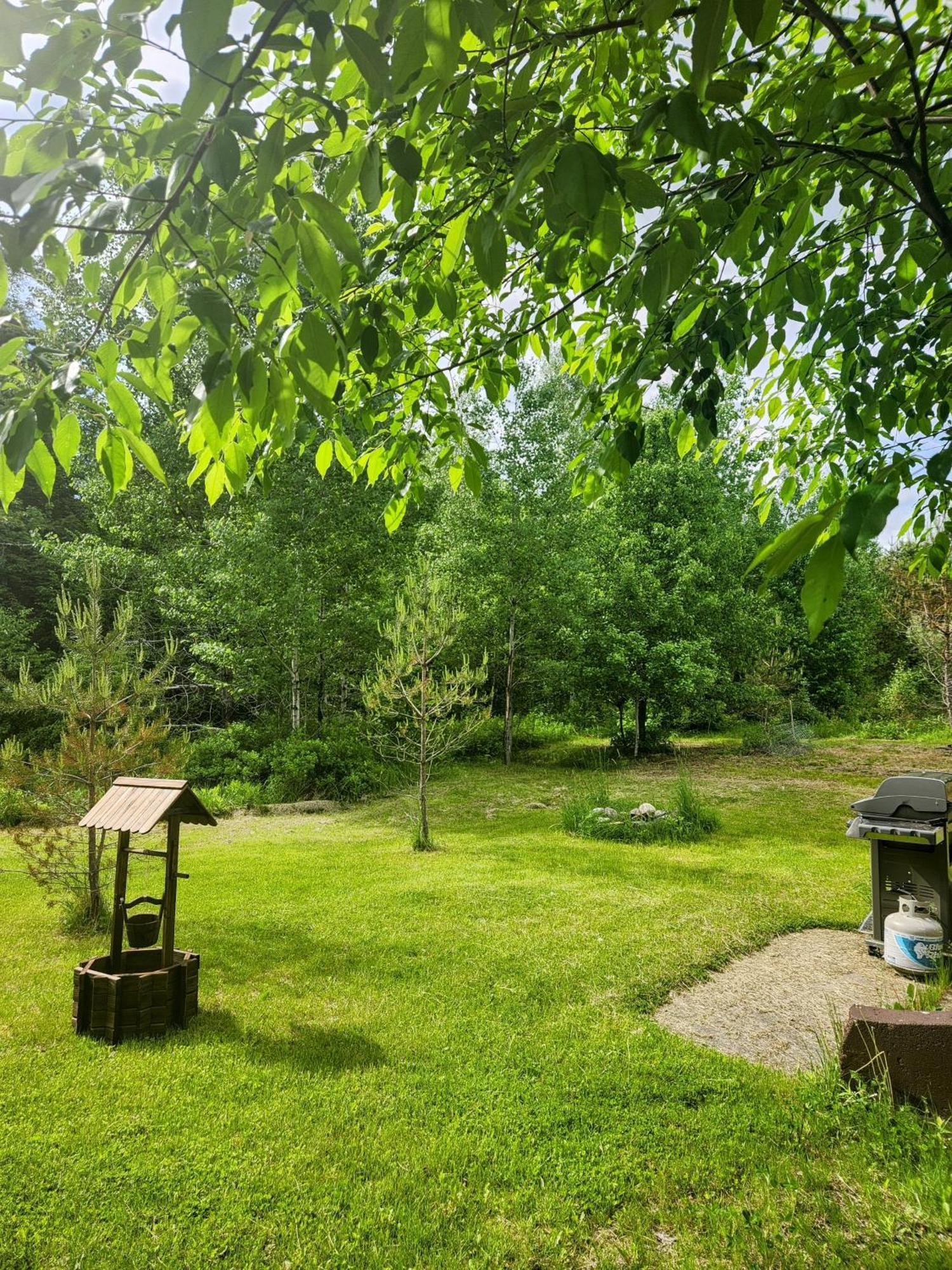 林肯Backyard Bliss In The White Mountains别墅 外观 照片