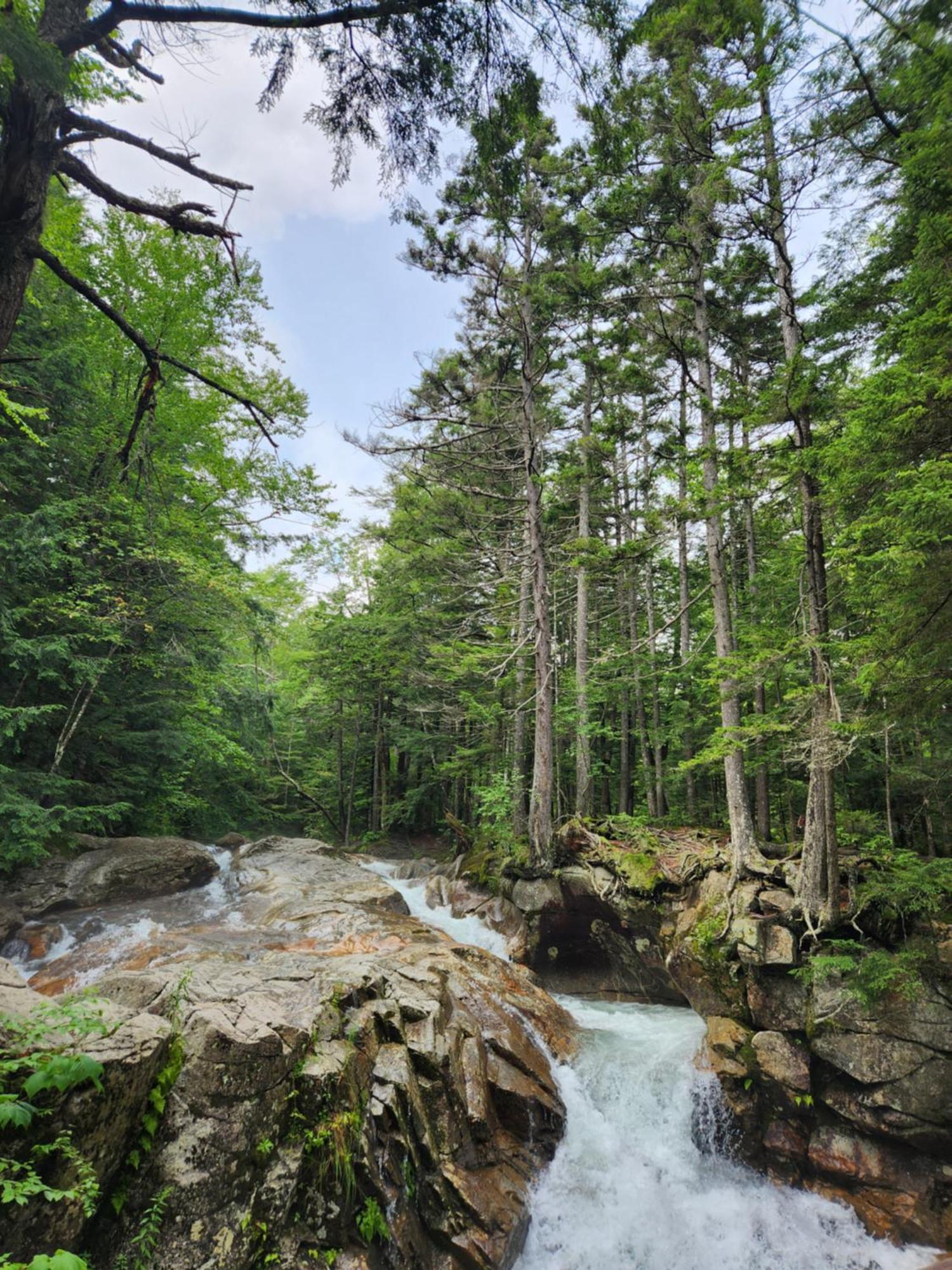 林肯Backyard Bliss In The White Mountains别墅 外观 照片